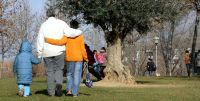 Adoptar, integrar y educar